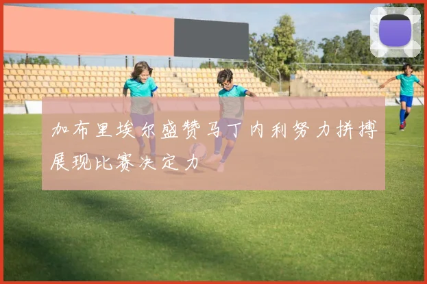 加布里埃尔盛赞马丁内利努力拼搏展现比赛决定力